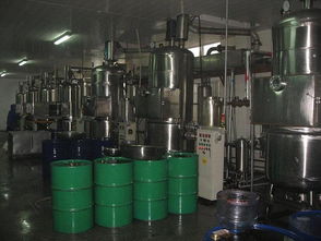 瑞思達RSD雙室真空油炸機 高端真空設備的價值解析